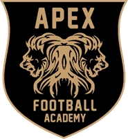 APEX Sports Academy 